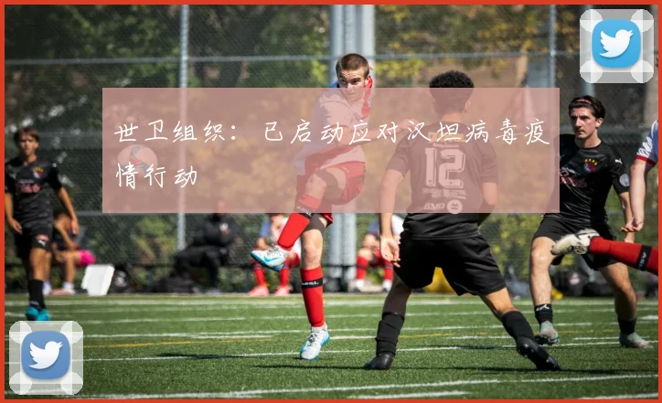 世卫组织：已启动应对汉坦病毒疫情行动