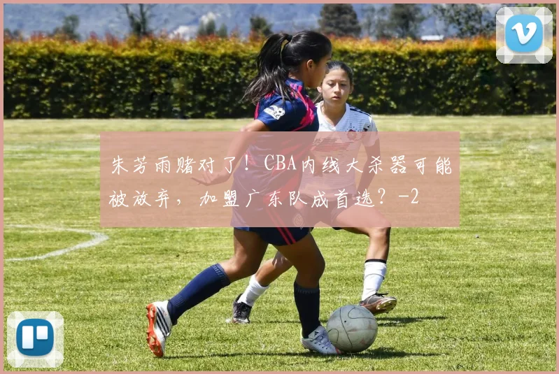 朱芳雨赌对了！CBA内线大杀器可能被放弃，加盟广东队成首选？