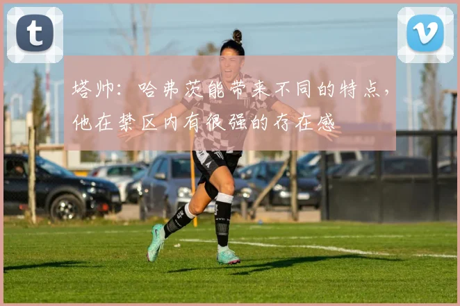 塔帅：哈弗茨能带来不同的特点，他在禁区内有很强的存在感